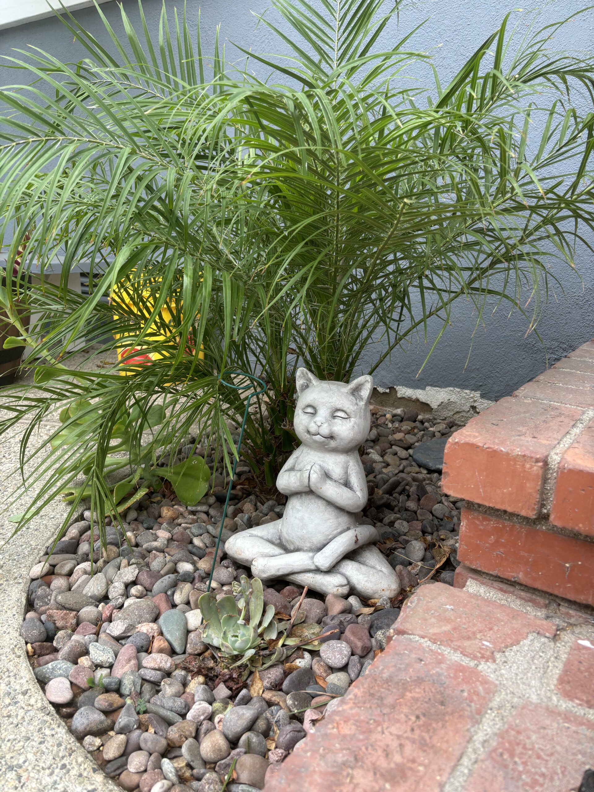 Palm With Praying Cat