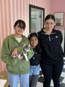 Stormy adopted by the Antonio Family 5-25-24