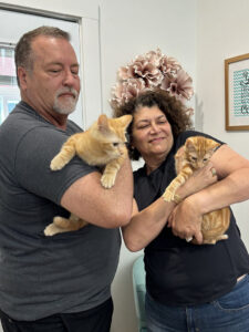 Tigre & Simba adopted by Andrew & Dahlia family