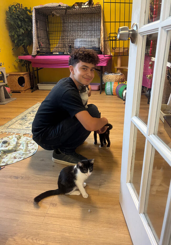 Nicolas Volunteer Playing with Our Kittens