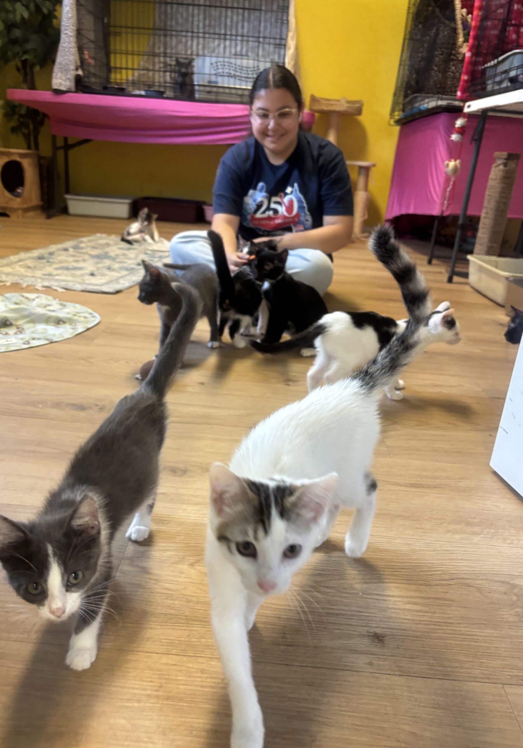 VIOLET (VOLUNTEER) HANGING OUT WITH KITTENS 6-27-26